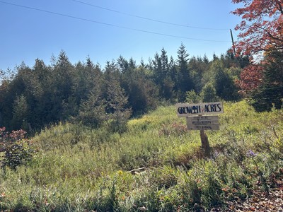 showing the sign at the end of the laneway surrounded by nature 